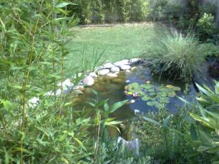 Création de jardin paysager à Brignoles autour de l'eau